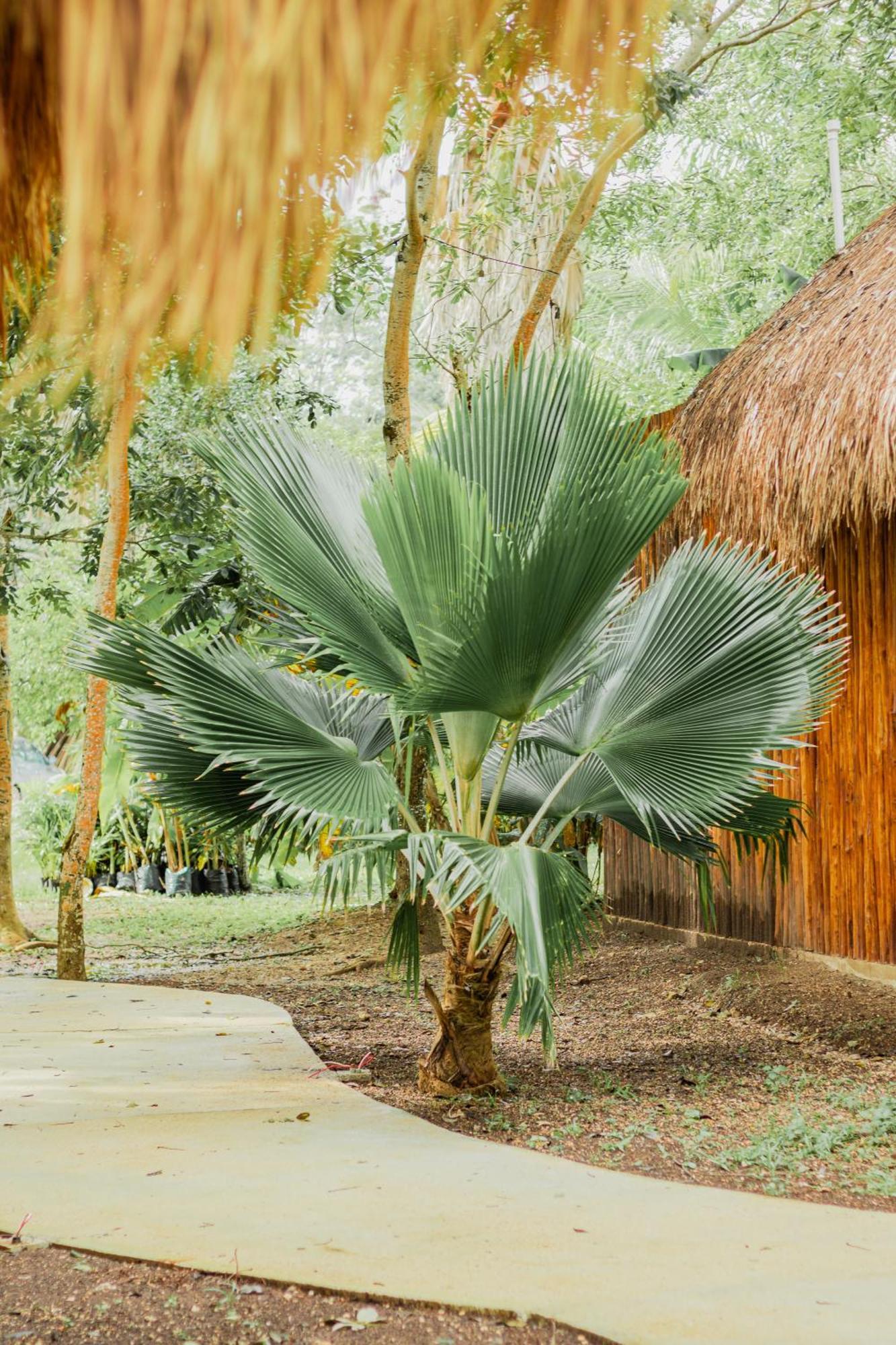 Mayan Playa Бакалар Экстерьер фото